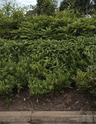 Inverurie Community Campus Civils & Landscaping