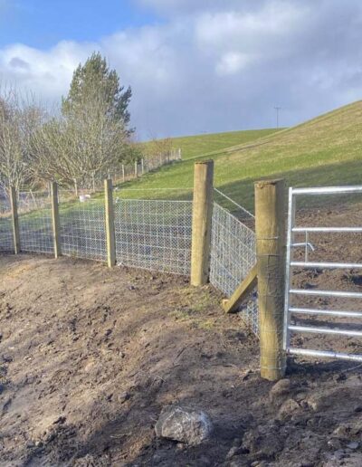 Edinkillie Stock Fence With Gate