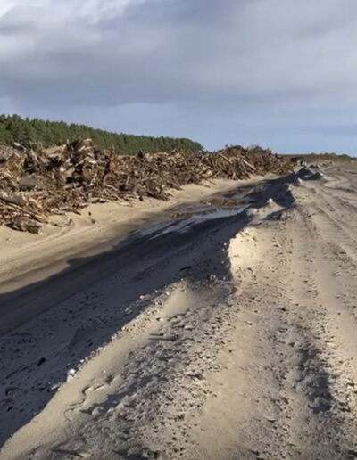Ardersier Port Timber Clearance