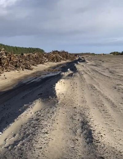 Ardersier Port Timber Clearance
