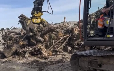 Ardersier Port – Timber Clearance