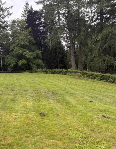 Blarour Cemetery Extension Groundworks